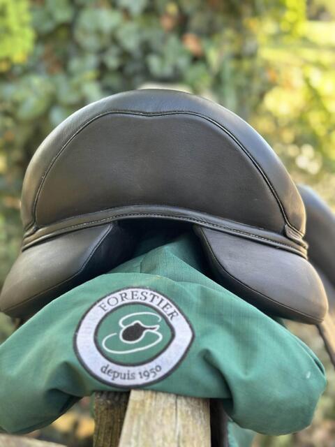 Selle Forestier Aachen 17” 2A – Noir toute veau (2022) + sangle + étrivières