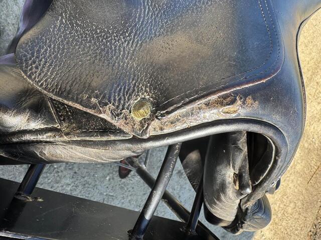 Selle Forestier Segonzac