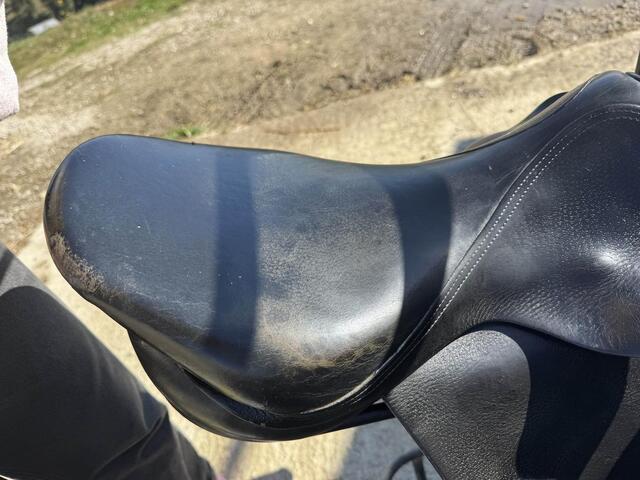 Selle Forestier Segonzac