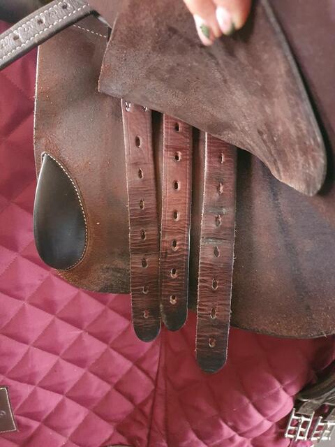 Selle forestier prems