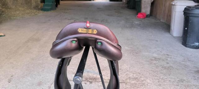 selle équipe synergy
