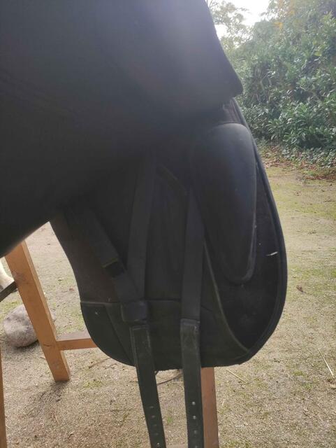 Selle Wintec Isabelle Werth Cair