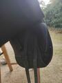 Selle Wintec Isabelle Werth Cair
