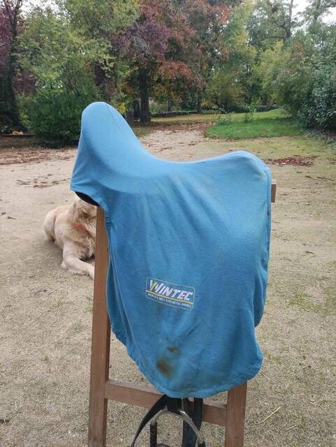 Selle Wintec Isabelle Werth Cair