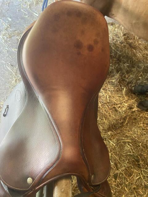 Selle Devaucoux