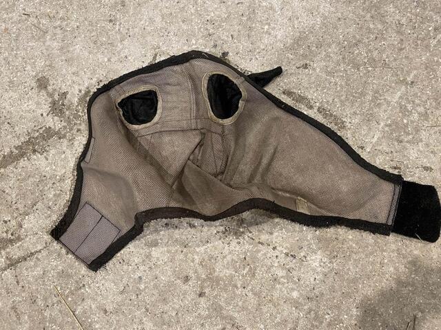 Masque anti mouches Amigo
