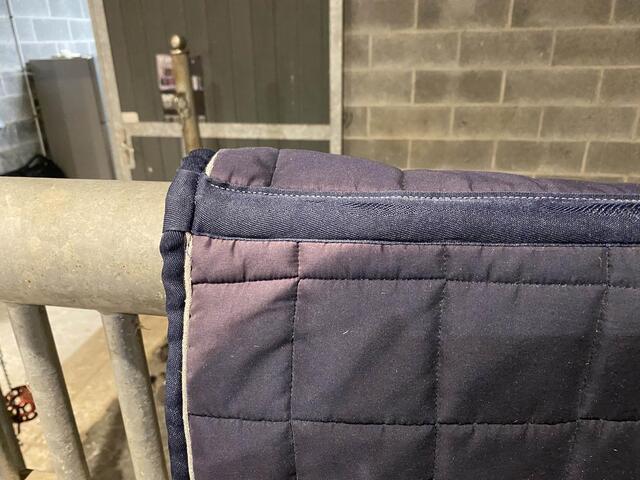 Tapis Veredus