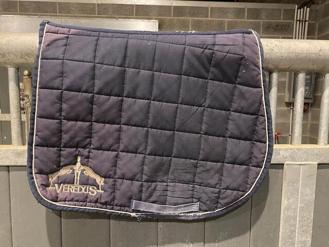 Tapis Veredus