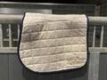 Tapis Veredus
