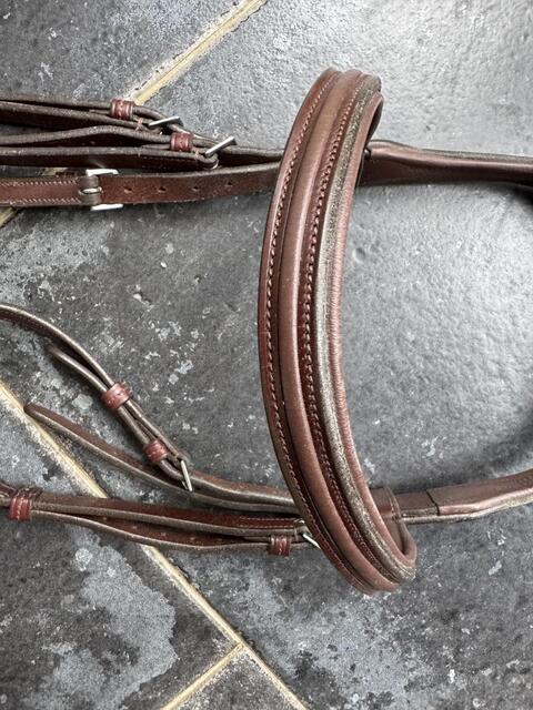 Bridon GBS, taille cheval