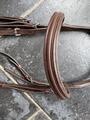 Bridon GBS, taille cheval