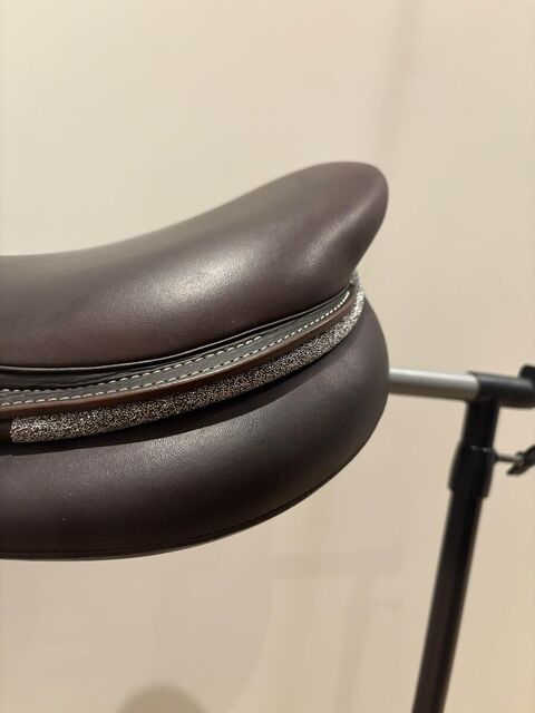 selle arion