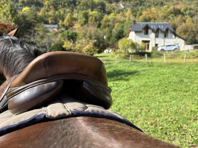 Selle mixte