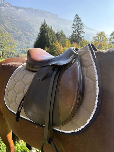 Selle mixte