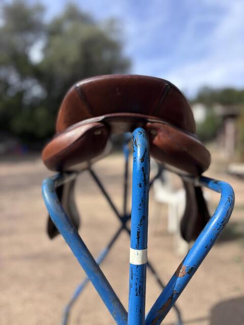 Selle obstacle Antares Confort
