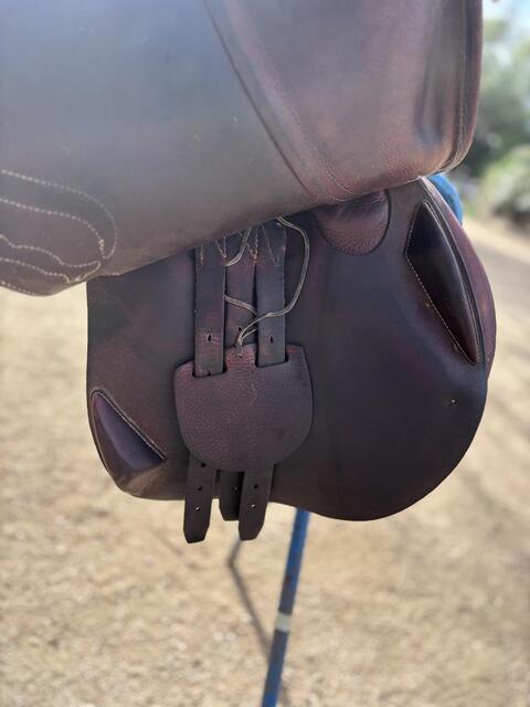 Selle obstacle Antares Confort