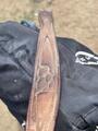 Selle obstacle Antares Confort
