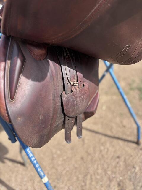 Selle obstacle Antares Confort