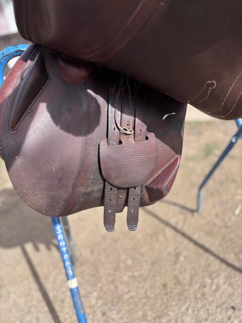Selle obstacle Antares Confort