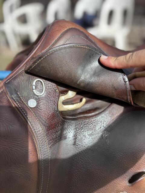 Selle obstacle Antares Confort