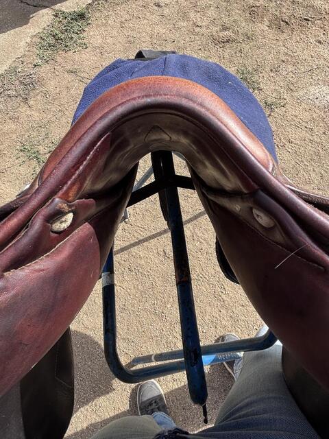 Selle obstacle Antares Confort