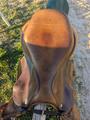 Selle Devoucoux Biarritz O, 17"