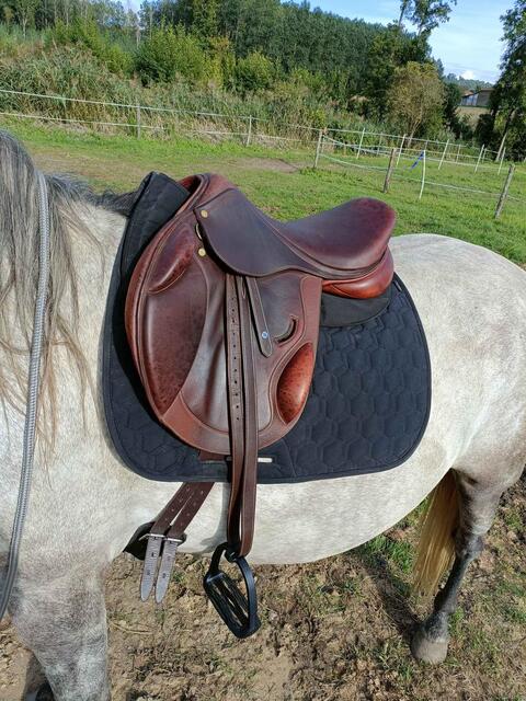 selle Eric Thomas fitting cross 17.5