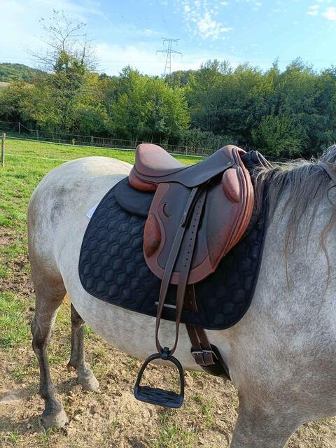 selle Eric Thomas fitting cross 17.5