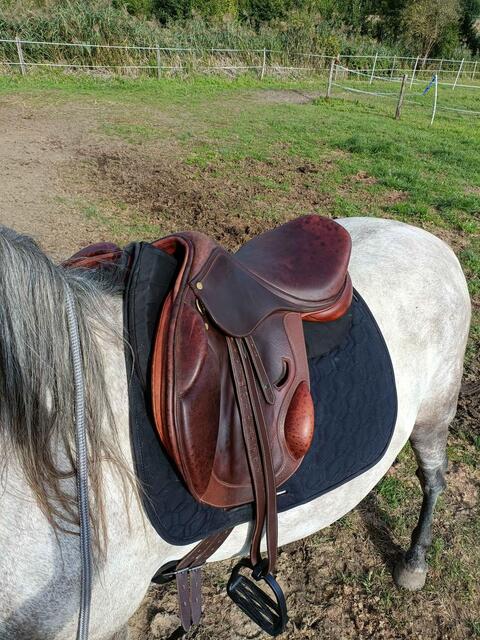 selle Eric Thomas fitting cross 17.5