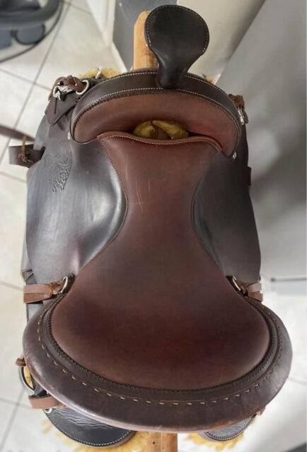 selle western