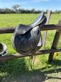 🐴 Selle Childeric monoquartier modèle FAP