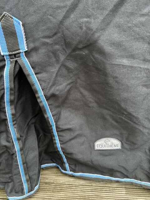 Chemise coton equitheme bleue gris