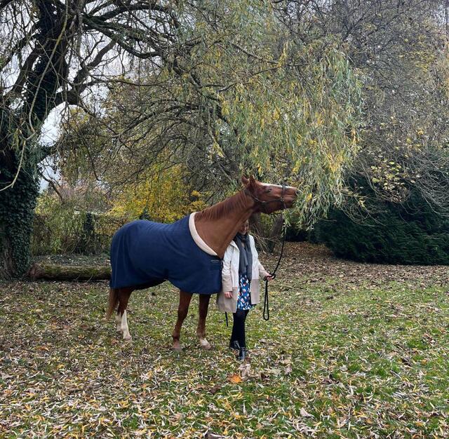 couverture Horseware