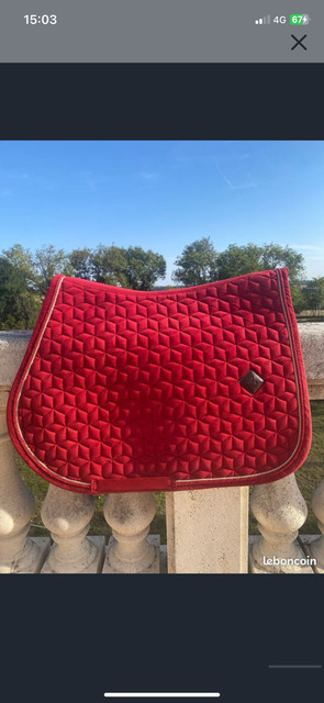 Tapis Kentucky