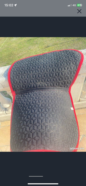 Tapis Kentucky