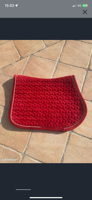 Tapis Kentucky