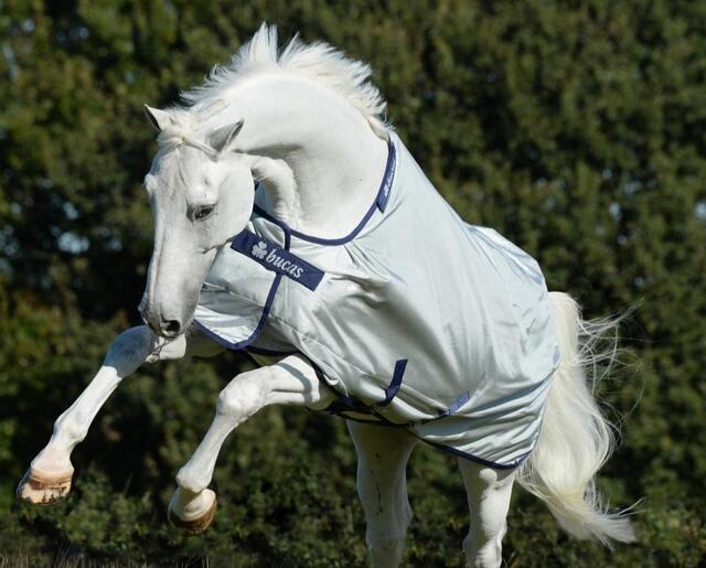 Couverture Bucas Power Turnout Light Bigneck