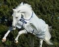 Couverture Bucas Power Turnout Light Bigneck