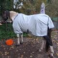 Couverture Bucas Power Turnout Light Bigneck