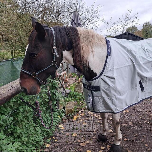 Couverture Bucas Power Turnout Light Bigneck