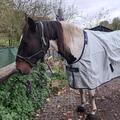 Couverture Bucas Power Turnout Light Bigneck