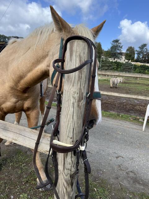 Bridon micklem cob