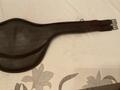 Bavette canter