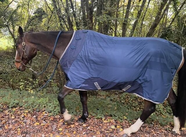 chemise séchante Ionic Horseware