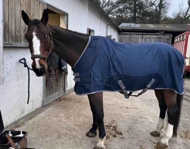 chemise séchante Ionic Horseware