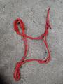 Lot X3 Licol corde mini plusieurs couleurs