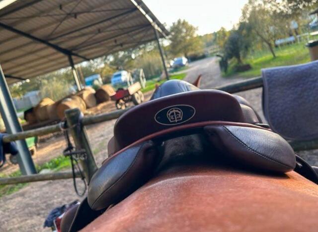 Selle monoquartier
