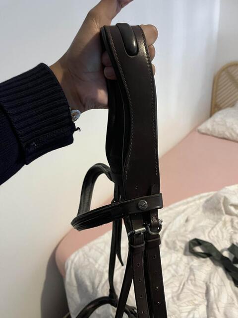 Bridon Marron