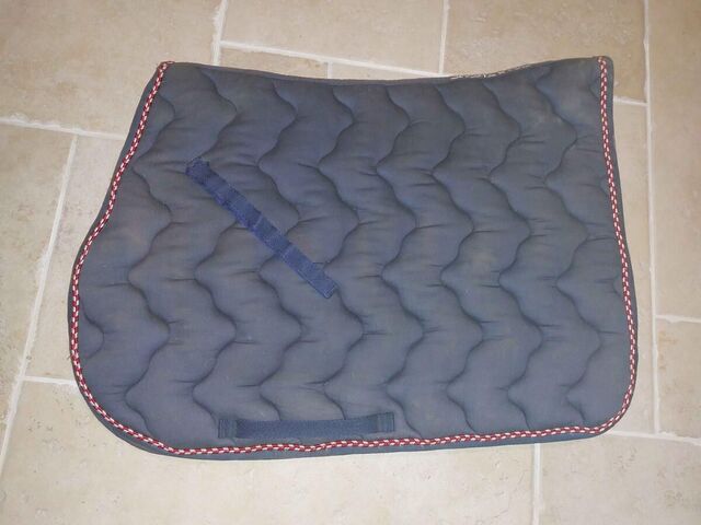 Tapis équithème bleu