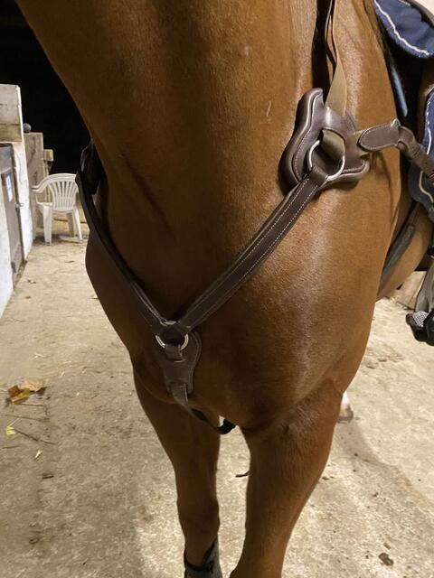 collier de chasse 5 points